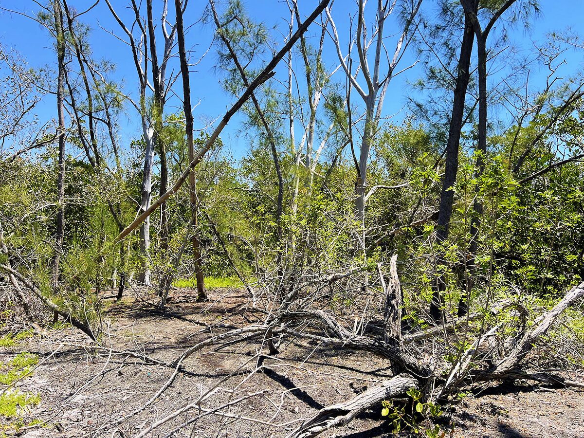 Island property, Manasota Key FL